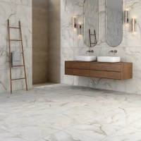 Calacatta Paonazzo Porcelain Tile Rectified Edge - Honed Finish 600 x 600 x 9 (0)