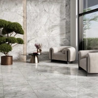 Paradiso Argento Porcelain Tile Rectified Edge - Polished Finish 600 x 600 x 9 (0)