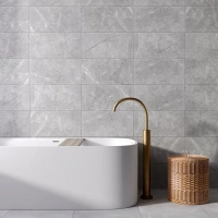 Torino Argento Porcelain Tile Natural Edge - Matt Finish 300 x 600 x 9 (1)