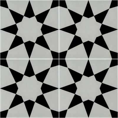 Form Monochrome Stellar Patterned Porcelain Tile Natural Edge - Matt Finish 200 x 200 x 9 (2)