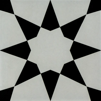 Form Monochrome Stellar Patterned Porcelain Tile Natural Edge - Matt Finish 200 x 200 x 9 (3)