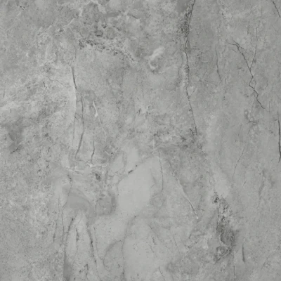 Paradiso Argento Porcelain Tile Rectified Edge - Matt Finish 600 x 600 x 9 (2)