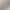 Carrara Gioia Porcelain Tile Rectified Edge - Honed Finish 800 x 800 x 12 (1)