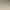 Just Cream Porcelain Tile Rectified Edge - Matt Finish 600 x 600 x 9 (1)